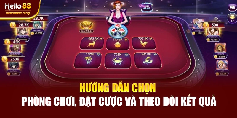 Hướng dẫn chọn phòng chơi, đặt cược và theo dõi kết quả