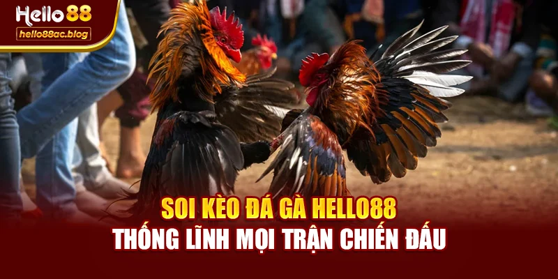 Soi Kèo Đá Gà Hello88 – Thống Lĩnh Mọi Trận Chiến Đấu